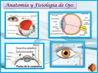 Anatomía y Fisiología de Ojo:

 