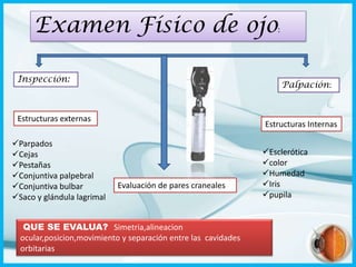 Examen Físico de ojo:
Inspección:

Palpación:

Estructuras externas
Parpados
Cejas
Pestañas
Conjuntiva palpebral
Conjuntiva bulbar
Saco y glándula lagrimal

Estructuras Internas

Evaluación de pares craneales

QUE SE EVALUA? Simetria,alineacion
ocular,posicion,movimiento y separación entre las cavidades
orbitarias

Esclerótica
color
Humedad
Iris
pupila

 