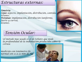 Estructuras externas:
Simetría
Cejas: aspecto, implantación, distribución, cantidad,
lesiones.
Pestanas: implantación, distribución (uniforme,
fuerte y curva),
lesiones.

Tensión Ocular:
•el método mas usado es el de Schiotz que mide
la profundidad de la indentacion producidos sobre la
cornea
medición con tonómetro (lo
normal son 12 a 22 mm de Hg

 