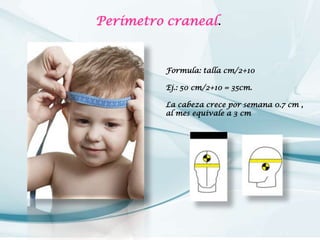 Perímetro craneal.

Formula: talla cm/2+10
Ej.: 50 cm/2+10 = 35cm.
La cabeza crece por semana 0.7 cm ,
al mes equivale a 3 cm

 