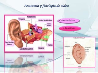 Anatomía y fisiología de oídos:

Vías auditivas

Equilibrio

 