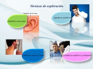 Técnicas de exploración.

Agudeza auditiva.
Pabellón auricular.

Conducta aérea y ósea.

Conducto auditivo y tímpano.

 