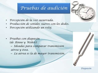 Pruebas de audición
•
•
•

Percepción de la voz susurrada.
Producción de sonidos suaves con los dedos.
Percepción utilizando un reloj.

•

Pruebas con diapasón
(de Rinne y Weber):
– Ideadas para comparar transmisión
aérea y ósea.
– La aérea es la de mayor transmisión.

Diapasón

 
