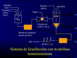 Almidón
H2O
Enzimas
(10%)
CaCl2
Bomba de desplaza-
miento positivo
Enzima
(90%)
atmósfera
Cocedor jet
(140°C, 30 s)
Vapor
90-95°C, 2 h
ED = 8-15
Sistema de licuefacción con α-amilasa
termorresistente
 