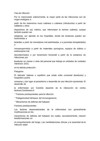 Vías de infección 
Por lo mencionado anteriormente, la mayor parte de las infecciones son de 
origen endógeno a 
partir de los reservorios muco cutáneos o cutáneos (introducidos a partir de 
catéteres u otros 
dispositivos de uso médico, que interrumpen la barrera cutánea), aunque 
también pueden ser 
exógenas, por ejemplo en los hospitales, donde las levaduras pueden ser 
transmitidas a 
lactantes a partir de mamaderas mal esterilizadas, o a pacientes transplantados 
o 
inmunosuprimidos a partir de materiales quirúrgicos, equipos de diálisis o 
endoscopios mal 
decontaminados o por transmisión horizontal a partir de la existencia de 
infecciones por 
levaduras en manos o uñas del personal que trabaja en unidades de cuidados 
intensivos (UCI), 
sin la debida protección. 
Patogenia 
El delicado balance o equilibrio que existe entre comensal (levaduras) y 
hospedero podría 
romperse y dar lugar al parasitismo o desarrollo de una infección oportunista. El 
desarrollo de 
la enfermedad por Candida depende de la interacción de ciertos 
factores:Candidiasis-5 
* Factores predisponentes para la infección. 
* Patogenicidad intrínseca del microorganismo. 
* Mecanismos de defensa del huésped. 
Factores predisponentes 
Los factores desencadenantes de la enfermedad son generalmente 
modificaciones en los 
mecanismos de defensa del huésped, los cuales, secundariamente, inducen 
transformaciones en 
el comportamiento del hongo. Las manifestaciones clínicas y la severidad de la 
infección están 
 