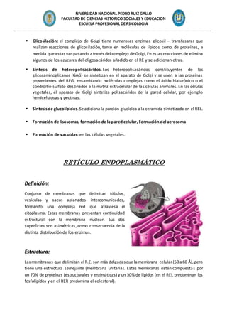 NIVERSIDAD NACIONAL PEDRO RUIZ GALLO
FACULTAD DE CIENCIAS HISTORICO SOCIALES Y EDUCACION
ESCUELA PROFESIONAL DE PSICOLOGIA
_______________________________________________________________________________________________
 Glicosilación: el complejo de Golgi tiene numerosas enzimas glicosil – transfesaras que
realizan reacciones de glicosilación, tanto en moléculas de lípidos como de proteínas, a
medida que estas vanpasando através del complejo de Golgi,En estas reacciones de elimina
algunos de los azucares del oligosacáridos añadido en el RE y se adicionan otros.
 Síntesis de heteropolisacáridos. Los heteropolisacáridos constituyentes de los
glicosaminoglicanos (GAG) se sintetizan en el aparato de Golgi y se unen a las proteínas
provenientes del REG, ensamblando moléculas complejas como el ácido hialurónico o el
condroitín-sulfato destinados a la matriz extracelular de las células animales. En las células
vegetales, el aparato de Golgi sintetiza polisacáridos de la pared celular, por ejemplo
hemicelulosas y pectinas.
 Síntesis de glucolípidos. Se adiciona la porción glucídica a la ceramida sintetizada en el REL.
 Formación de lisosomas, formación de la pared celular, Formación del acrosoma
 Formación de vacuolas: en las células vegetales.
RETÍCULO ENDOPLASMÁTICO
Definición:
Conjunto de membranas que delimitan túbulos,
vesículas y sacos aplanados intercomunicados,
formando una compleja red que atraviesa el
citoplasma. Estas membranas presentan continuidad
estructural con la membrana nuclear. Sus dos
superficies son asimétricas, como consecuencia de la
distinta distribución de los enzimas.
Estructura:
Las membranas que delimitan elR.E. son más delgadas que lamembrana celular (50 a60 Å), pero
tiene una estructura semejante (membrana unitaria). Estas membranas están compuestas por
un 70% de proteínas (estructurales y enzimáticas) y un 30% de lípidos (en el REL predominan los
fosfolípidos y en el RER predomina el colesterol).
 