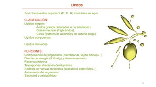 10
LÍPIDOS
Son Compuestos orgánicos (C, O, H) insolubles en agua
CLASIFICACIÓN:
Lípidos simples
Ácidos grasos (saturados o no saturados)
Grasas neutras (triglicéridos)
Ceras (ésteres de alcoholes de cadena larga)
Lípidos compuestos
Lípidos derivados
FUNCIONES:
Componentes del organismo (membranas, tejido adiposo...)
Fuente de energía (9 Kcal/g) y almacenamiento
Reserva proteína
Transporte y absorción de vitaminas
Síntesis de nuevas moléculas (colesterol, esteroides...)
Aislamiento del organismo
Saciedad y palatabilidad
 