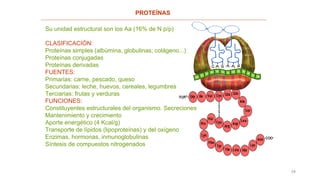 14
PROTEÍNAS
Su unidad estructural son los Aa (16% de N p/p)
CLASIFICACIÓN:
Proteínas simples (albúmina, globulinas, colágeno...)
Proteínas conjugadas
Proteínas derivadas
FUENTES:
Primarias: carne, pescado, queso
Secundarias: leche, huevos, cereales, legumbres
Terciarias: frutas y verduras
FUNCIONES:
Constituyentes estructurales del organismo. Secreciones
Mantenimiento y crecimiento
Aporte energético (4 Kcal/g)
Transporte de lípidos (lipoproteínas) y del oxígeno
Enzimas, hormonas, inmunoglobulinas
Síntesis de compuestos nitrogenados
 