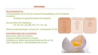 15
PROTEÍNAS
REQUERIMIENTOS:
Las necesidades son función de la situación fisiopatológica y de la calidad de
la proteína
lactantes (2,2 g/Kg/día) adultos (0,8 g/Kg/día)
Aa esenciales (3-6 mg/Kg/día)
His, Ile, Leu, Lys, Met, Phe, Thr, Trp, Val
Relación proteína/energía: al menos 5%, normalmente 10-12%
ENFERMEDADES RELACIONADAS:
Kwarsiorkor: déficit de proteínas
Caquexia: déficit de proteína y energía
Fenilcetonuria: falta el enzima que transforma Phe en Tyr
Gota: depósito de ác. úrico procedente de purinas
 