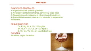 23
FUNCIONES GENERALES:
1.-Papel estructural (huesos y dientes)
2.-Regulación del balance hídrico, osmótico y ácido-base
3.-Reguladores del metabolismo intermediario (cofactores)
4.-Excitabilidad nerviosa, contracción muscular, transporte de
membrana...
REQUERIMIENTOS
Ca, P, Mg, Cl, K, S > 100 mg/día
Zn, Fe, I, F, Cu, Co, Cr > 20 mg/día
Si, Sn, Mo, Va, Mn...en cantidades traza
FUENTES:
Alimentos y agua de bebida
MINERALES
 