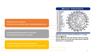 24
Interacción entre nutrientes:
el impacto de un nutriente sobre la biodisponibilidad de otro
La biodisponibilidad depende de la adsorción
Porcentaje del ingerido que se absorbe
La biodisponibilidad depende de la utilización
Transporte, asimilación y transformación en la forma activa
 