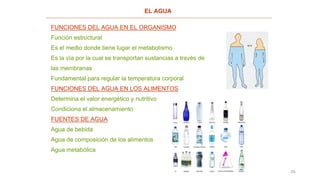 26
EL AGUA
FUNCIONES DEL AGUA EN EL ORGANISMO
Función estructural
Es el medio donde tiene lugar el metabolismo
Es la vía por la cual se transportan sustancias a través de
las membranas
Fundamental para regular la temperatura corporal
FUNCIONES DEL AGUA EN LOS ALIMENTOS
Determina el valor energético y nutritivo
Condiciona el almacenamiento
FUENTES DE AGUA
Agua de bebida
Agua de composición de los alimentos
Agua metabólica
 