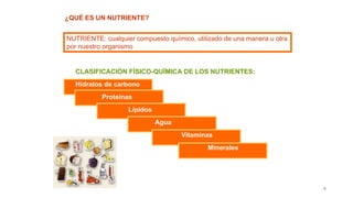 4
¿QUÉ ES UN NUTRIENTE?
NUTRIENTE: cualquier compuesto químico, utilizado de una manera u otra
por nuestro organismo
CLASIFICACIÓN FÍSICO-QUÍMICA DE LOS NUTRIENTES:
Hidratos de carbono
Proteínas
Lípidos
Agua
Vitaminas
Minerales
 