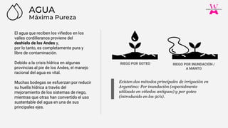 Máxima Pureza
AGUA
RIEGO POR GOTEO RIEGO POR INUNDACIÓN /
A MANTO
Existen dos métodos principales de irrigación en
Argentina: Por inundación (especialmente
utilizado en viñedos antiguos) y por goteo
(introducido en los 90’s).
El agua que reciben los viñedos en los
valles cordilleranos proviene del
deshielo de los Andes y,
por lo tanto, es completamente pura y
libre de contaminación.
Debido a la crisis hídrica en algunas
provincias al pie de los Andes, el manejo
racional del agua es vital.
Muchas bodegas se esfuerzan por reducir
su huella hídrica a través del
mejoramiento de los sistemas de riego,
mientras que otras han convertido el uso
sustentable del agua en una de sus
principales ejes.
 