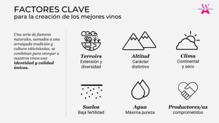 Productores/as
comprometidos
Suelos
Baja fertilidad
Una serie de factores
naturales, sumados a una
arraigada tradición y
cultura vitivinícolas, se
combinan para otorgar a
nuestros vinos una
identidad y calidad
únicas.
para la creación de los mejores vinos
FACTORES CLAVE
Terroirs
Extensión y
diversidad
Clima
Continental
y seco
Altitud
Carácter
distintivo
Agua
Máxima pureza
 