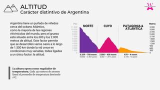 La altura opera como regulador de
temperatura. Cada 150 metros de ascenso
lineal el promedio de temperatura desciende
1ºC.
Carácter distintivo de Argentina
ALTITUD
NORTE CUYO PATAGONIA &
0
300
900
1.200
1.500
1.800
2.100
2.400
2.700
3.000
3.300
0
1.000
2.000
3.000
4.000
5.000
6.000
7.000
8.000
9.000
10.000
11.000
Metros
Pies
600
ATLÁNTICA
3.329 – 750 msnm
10.922 – 2.461 psnm
2.000 – 430 msnm
6.562 – 1.411 psnm
670 – 4 msnm
2.192 - 13 psnm
Argentina tiene un puñado de viñedos
cerca del océano Atlántico,
como la mayoría de las regiones
vitivinícolas del mundo, pero el grueso
está situado entre los 600 y los 2.000
metros de altitud. Este factor permite
que se desarrollen varios oasis a lo largo
de 1.500 km donde la vid crece en
condiciones muy variadas, todas ligadas
a un único factor: la altitud.
 