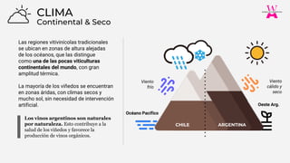 Los vinos argentinos son naturales
por naturaleza. Esto contribuye a la
salud de los viñedos y favorece la
producción de vinos orgánicos.
Las regiones vitivinícolas tradicionales
se ubican en zonas de altura alejadas
de los océanos, que las distingue
como una de las pocas viticulturas
continentales del mundo, con gran
amplitud térmica.
La mayoría de los viñedos se encuentran
en zonas áridas, con climas secos y
mucho sol, sin necesidad de intervención
artificial.
Continental & Seco
CLIMA
Viento
frío
Viento
cálido y
seco
Océano Pacífico
Oeste Arg.
CHILE ARGENTINA
 