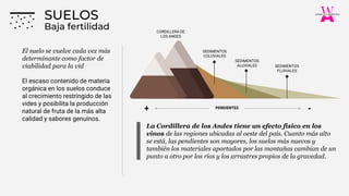 La Cordillera de los Andes tiene un efecto físico en los
vinos de las regiones ubicadas al oeste del país. Cuanto más alto
se está, las pendientes son mayores, los suelos más nuevos y
también los materiales aportados por las montañas cambian de un
punto a otro por los ríos y los arrastres propios de la gravedad.
Baja fertilidad
SUELOS
CORDILLERA DE
LOS ANDES
SEDIMENTOS
COLUVIALES
SEDIMENTOS
ALUVIALES SEDIMENTOS
FLUVIALES
El suelo se vuelve cada vez más
determinante como factor de
viabilidad para la vid
El escaso contenido de materia
orgánica en los suelos conduce
al crecimiento restringido de las
vides y posibilita la producción
natural de fruta de la más alta
calidad y sabores genuinos.
PENDIENTES
+ -
 