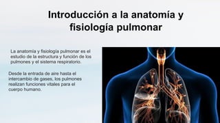 Introducción a la anatomía y
fisiología pulmonar
La anatomía y fisiología pulmonar es el
estudio de la estructura y función de los
pulmones y el sistema respiratorio.
Desde la entrada de aire hasta el
intercambio de gases, los pulmones
realizan funciones vitales para el
cuerpo humano.
 