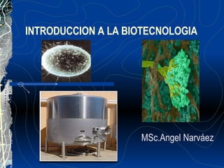 INTRODUCCION A LA BIOTECNOLOGIA MSc.Angel Narváez 