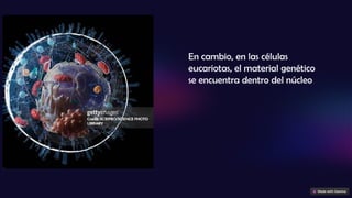 En cambio, en las células
eucariotas, el material genético
se encuentra dentro del núcleo
 