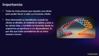 Importancia:
• Todas las instrucciones que necesita una célula
para poder llevar a cabo sus funciones vitales.
• Esta información es hereditaria: cuando las
células se dividen, el material se replica y pasa a
las células hijas, y también se transmite desde los
organismos progenitores a sus descendientes. Es
por ello que todos procedemos de un único
ancestro común.
 