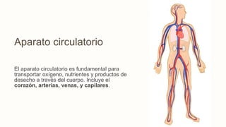 Aparato circulatorio
El aparato circulatorio es fundamental para
transportar oxígeno, nutrientes y productos de
desecho a través del cuerpo. Incluye el
corazón, arterias, venas, y capilares.
 