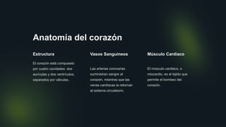 Anatomía del corazón
Estructura
El corazón está compuesto
por cuatro cavidades: dos
aurículas y dos ventrículos,
separados por válvulas.
Vasos Sanguíneos
Las arterias coronarias
suministran sangre al
corazón, mientras que las
venas cardíacas la retornan
al sistema circulatorio.
Músculo Cardiaco
El músculo cardiaco, o
miocardio, es el tejido que
permite el bombeo del
corazón.
 
