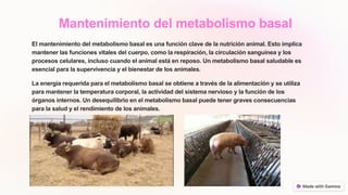 Introduccion-a-las-funciones-de-la-nutricion-animal.pptx