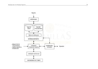 Introducción a los Sistemas Expertos 24
 