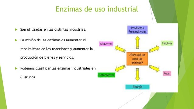 Resultado de imagen de ENZIMAS BIOTECNOLOGIA