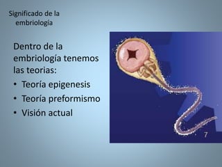 Dentro de la
embriología tenemos
las teorias:
• Teoría epigenesis
• Teoría preformismo
• Visión actual
 