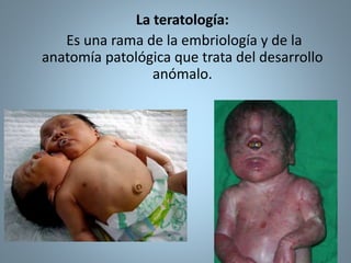 La teratología:
Es una rama de la embriología y de la
anatomía patológica que trata del desarrollo
anómalo.
 