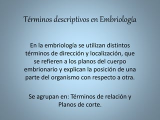 Términos descriptivos en Embriología
En la embriología se utilizan distintos
términos de dirección y localización, que
se refieren a los planos del cuerpo
embrionario y explican la posición de una
parte del organismo con respecto a otra.
Se agrupan en: Términos de relación y
Planos de corte.
 