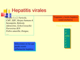 Hepatitis virales
Herpes 1 y 2, Varicela,
CMV, EBV, Herpes humano 6
Sarampión, Rubeola
Adenovirus, Echo,Coxsackie
Parvovirus B19
Fiebre amarilla, Dengue,
.....

Infecciones en las que
Infecciones en las que
puede existir
puede existir
inflamación hepática
inflamación hepática

Tropismo y lesión hepática
Tropismo y lesión hepática
(casi) exclusiva
(casi) exclusiva
Virus de hepatitis
A
A
B
B
delta
delta
C
C
E
E
F
F
G
G

 