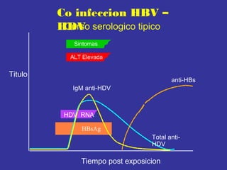 Co infeccion HBV –
Curso
HDV serologico tipico
Sintomas
ALT Elevada

Titulo

anti-HBs

IgM anti-HDV

HDV RNA
HBsAg
Total antiHDV

Tiempo post exposicion

 