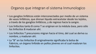 Organos que integran el sistema Inmunologico
• Los ganglios linfáticos están interconectados por medio de un sistema
de vasos linfáticos, que drenan líquido extracelular desde los tejidos,
a través de los ganglios linfáticos, y de regreso hacia la sangre.
• Los linfocitos tanto B como T se originan en la médula ósea, pero sólo
los linfocitos B maduran ahí.
• Los linfocitos T precursores migran hacia el timo, del cual se deriva su
nombre, y maduran ahí.
• La “B” en los linfocitos B originalmente significaba la bolsa de
Fabricio, un órgano linfoide en pollos jóvenes en el cual maduran los
linfocitos.
 