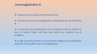  Aparece en muy baja concentración (1%).
 Son las primeras inmunoglobulinas sintetizadas por los linfocitos
B
 Su función está relacionada con la activación de Las células B,
que en estado virgen está lista para entrar en contacto con el
antígeno.
 La IgD se pierde durante la estimulación antigénica, las células de
memoria han perdido esta inmunoglobulina
Inmunoglobulina D
 
