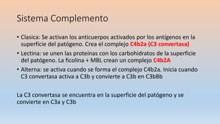 Sistema Complemento
• Clasica: Se activan los anticuerpos activados por los antígenos en la
superficie del patógeno. Crea el complejo C4b2a (C3 convertasa)
• Lectina: se unen las proteínas con los carbohidratos de la superficie
del patógeno. La ficolina + MBL crean un complejo C4b2A
• Alterna: se activa cuando se forma el complejo C4b2a. Inicia cuando
C3 convertasa activa a C3b y convierte a C3b en C3bBb
La C3 convertasa se encuentra en la superficie del patógeno y se
convierte en C3a y C3b
 