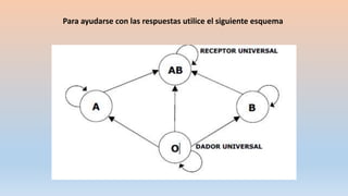 Para ayudarse con las respuestas utilice el siguiente esquema
 