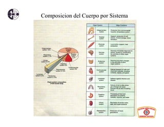 Composicion del Cuerpo por Sistema
 