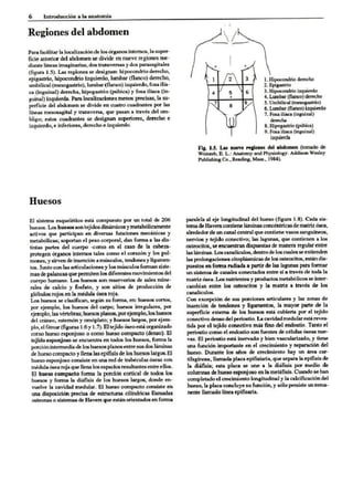 Introduccion a la anatomia