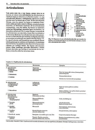 Introduccion a la anatomia