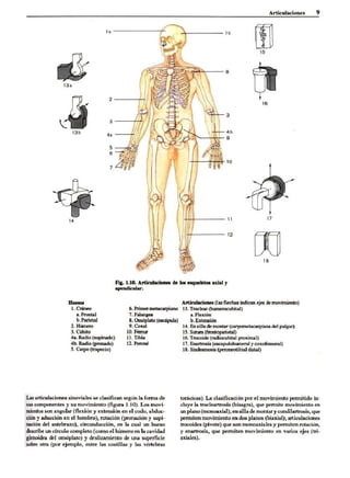 Introduccion a la anatomia