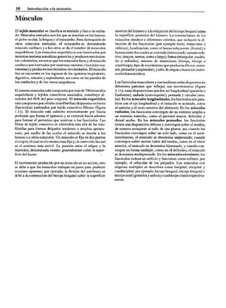 Introduccion a la anatomia