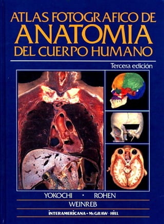 Introduccion a la anatomia
