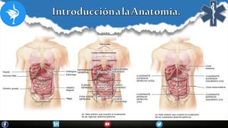 Introduccion a la anatomia.