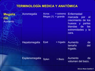 TERMINOLOGÍA MEDICA Y ANATÓMICA



Epi (G)     Epidermis    Epi = Sobre (1)     Capa más
Sobre                    Derma = ...