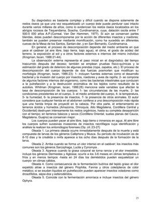 25
Su diagnóstico es bastante complejo y difícil cuando se dispone solamente de
restos óseos ya que una vez esqueletizado un cuerpo éste puede perdurar casi intacto
durante varios millares de años, como lo evidencian los restos óseos localizados en los
abrigos rocosos de Tequendama, Soacha, Cundinamarca, cuya, datación oscila entre 7
500-5 000 años A.P.(Correal, Van Der Hammen, 1977). Si aún se conservan partes
blandas, éstas pueden descomponerse por la acción de diferentes insectos y roedores;
también se pueden preservar mediante momificación, como ha sucedido en diferentes
cuevas de la Mesa de los Santos, Santan-der, y en San Bernardo, Cundinamarca.
En general, el proceso de descomposición depende del medio ambiente en que
yace el cadáver (al aire libre, bajo tierra, bajo agua), el clima, el grado de acidez del
terreno, la exposición al sol y a otros factores externos e internos del mismo individuo
(Krogman, Iscan, 1986:21-44).
La observación externa representa el paso inicial en el diagnóstico del tiempo
trascurrido después del deceso; también se emplean pruebas físico-químicas y la
estimación del grado de deterioro de algunas prendas (ropa, zapatos, etc.). El proceso de
descomposición del cuerpo depende de dos fuerzas posmorten que modifican su
morfología (Krogman, Iscan, 1986:23): 1- incluyen fuentes externas como el desarrollo
bacterial y la invasión del cuerpo por insectos, roedores y aves de rapiña; 2- se compone
de algunos factores internos del organismo, como las bacterias intestinales que conducen
a la putrefacción y a la destrucción enzimática de los tejidos como resultado de la
autolisis. Whitman (Krogman, Iscan, 1986:28) menciona siete variables que afectan la
tasa de descomposición de los cuerpos: 1- las circunstancias de las muerte, 2- las
condiciones prexistentes en el cuerpo, 3- el medio ambiente del cuerpo, 4- la temperatura,
5- la humedad, 6- la presencia de insectos, 7- la presencia de otros animales. El autor
considera que cualquier herida en el abdomen conlleva a una descomposición más rápida
que una herida limpia de proyectil en la cabeza. Por otra parte, el enterramiento en
terrenos ácidos y húmedos (Amazonía, Orinoquía, Alto Magdalena, Cordillera Central y
Occidental) destruyen intensamente los restos orgánicos, hasta su completa desaparición
con el tiempo; en terrenos básicos y secos (Cordillera Oriental, suelas planas del Cauca,
Magdalena, Guajira) se conservan mejor.
Los cuerpos pueden yacer al aire libre, bajo tierra o inmersos en agua. Al aire libre
los cuerpos sufren sucesivas invasiones de insectos necrófagos cuya identificación y
análisis la realizan los entomólogos forenses (Op. cit.:23-27)
Oleada 1. La primera oleada ocurre inmediatamente después de la muerte y está
compuesta de larvas de los géneros Calliphora y Musca. Su período de incubación es de
8-10 días y la crisálida o ninfa aparece a los ocho días después de la formación de la
larva.
Oleada 2. Arriba cuando se forma un olor intenso en el cadáver; los insectos más
comunes son los géneros Sarcophaga, Lucila y Cynomyia .
Oleada 3. Aparece cuando la grasa corporal se torna rancia y el olor irresistible;
incluye los géneros Dermestes y Aglossa; ocurre a los 3-6 meses en climas templados o
fríos y en menos tiempos -hasta en 24 días los deméstidos pueden esqueletizar un
cuerpo- en climas cálidos.
Oleada 4. Como consecuencia de la fermentación butírica del tejido graso el olor
expelido atrae a insectos del género Piophilia, Fannia y otros coleópteros de color
metálico; si se exudan líquidos en putrefacción pueden aparecer insectos voladores como
drosofílidos, sépsi-dos y esferodéridos.
Oleada 5. Coincide con la fermentación amoníaca e incluye insectos del género
Ophyra.
 