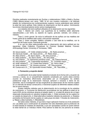 30
Falange III 14,0-15,0
Estudios realizados recientemente por Suchey y colaboradores (1984) y Webb y Suchey
(1985) (Moore-Jansen and Jantz, 1989: 9) en una muestra multiracial y de distintas
edades de norteamerica-nos contemporáneos sugieren nuevos estándares para estimar
la edad del cierre epifisial. Este método de observación es fácil de aplicar, minimizando
los errores interobservadores (entre varios investigadores).
Los estadios del cierre epifisial utilizados en la observación son los siguientes:
Fase 1. Abierto (sin unión). Las superficies de la metáfisis están altamente
vascularizadas y por tanto, su aspecto es rugoso, granular, estriado, con aristas y
nódulos.
Fase 2. Unión parcial. Se inicia la osificación de las epífisis con las metáfisis del
hueso; parte de la metáfisis está unida y otra porción separada.
Fase 3. Unión completa. Relleno completo o casi total de la metáfisis, con la
superficie del hueso suave, finamente granular.
A su vez los sitios seleccionados para la observación del cierre epifisial son los
siguientes: (Data Collection Procedures for Forensic Skeletal Material, Forensic
Anthropology Center, University of Tennessee, 1989)
38. Sutura basilar __ 47. Anillo vértebra lumbar __ 56. Radio proximal __
39. Clavícula medial __ 48. Sacro (S1/2) __ 57. Radio distal __
40. Atlas anterior __ 49. Sacro (S2/3) __ 58. Ulna proximal __
41. Atlas posterior __ 50. Sacro (S3/4) __ 59. Ulna distal __
42. Axis anterior __ 51. Elementos primarios coxal __ 60. Cabeza femoral __
43. Axis posterior __ 52. Tuberosidad isquiástica __ 61. Trocánter mayor __
44. Anillo vértebra C __ 53. Cresta ilíaca anterior __ 62. Fémur distal __
45. Anillo vértebra T __ 54. Húmero proximal __ 63. Tibia proximal __
46. Cuerpo-arco L5 __ 55. Epicóndilo húmero medial __ 64. Tibia distal __
2. Formación y erupción dental
La estimación de la edad dental mediante el estudio de la forma-ción y erupción de
coronas y raíces, es un procedimiento bastante complicado por cuanto estos eventos
ocurren en momentos difícil-mente observables por un investigador. Su análisis
poblacional exige de la observación mensual, semanal e inclusive a diario de los
pacientes, sea la investigación de tipo longitudinal (la observación de los mismos sujetos
en un intervalo de tiempo consecutivo) o trasversal (sujetos de diferentes edades analiza-
dos al mismo tiempo).
Existen distintos métodos para la determinación de la cronología de los estadios
de crecimiento: a. Funciones de distribución acumulativas (en las gráficas la edad en la
cual el 50% de los individuos alcanza el estadio dado), b. La edad de alcance de un logro
observada directamente en estudios longitudi-nales, c. Edad promedio de los sujetos en
un estadio de desarro-llo, d. Edad alternativa mediante métodos de predicción, e. Estadios
promedios de formación de los sujetos en cada grupo de edad, f. Escalas de maduración,
g. Mapas y atlas ilustrados, h. Misceláneos.
De todos estos métodos, el que tiene mayor aplicación forense es el de predicción
(d). Las tablas que a continuación se presentan han sido diseñadas para la predicción de
la edad basada en estadios de desarrollo y que son apropiadas cuando se quiere estimar
la edad dental de un individuo infantil. Para estimar la edad de una persona se analiza
 